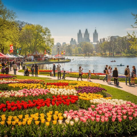 A vibrant park scene featuring colorful tulip flower beds in red, yellow, pink, white, and purple hues. People walk along a path beside the flowers, enjoying the festive atmosphere. A body of water in the background has kayakers and canoers, with trees and a skyline of historic-looking buildings visible beyond. Flags and tents contribute to the celebratory vibe, suggesting a festival or event is taking place.