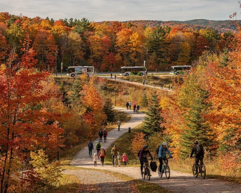 A picturesque autumn landscape featuring a pathway lined with trees displaying vibrant fall colors. People are walking and biking along the path, while the background shows a road with buses, pedestrians, and rolling hills adorned with colorful foliage. The image captures the essence of a pleasant fall day in nature.
