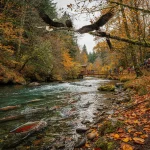 A picturesque autumn scene featuring a river with salmon swimming upstream as part of their spawning migration. Several eagles are perched on a branch above the river, seemingly watching the fish. In the background, a group of people stand on a wooden bridge, taking in the view. The landscape is adorned with vibrant autumn foliage in shades of red, orange, and yellow.