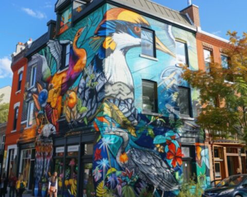 street art and murals in Ottawa