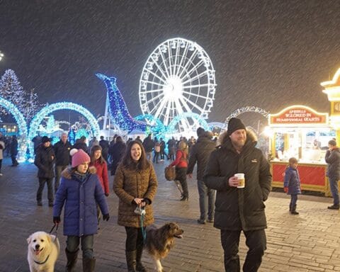A nighttime outdoor event featuring a Ferris wheel and arches adorned with blue lights. Snow is falling, and people are walking around, some accompanied by dogs, creating a lively and cheerful atmosphere. A food stand on the right has a sign promoting 'mushroom' products.