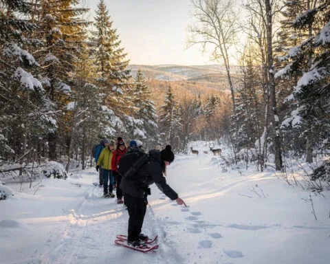 A group of people snowshoeing on a snowy trail in a forested area. The pine trees are covered in snow, and the sun is either setting or rising in the background, casting a serene winter glow. In the distance, at least two deer are visible on the trail, adding to the tranquil atmosphere of the scene.